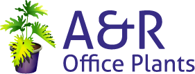 A&R Office Plants